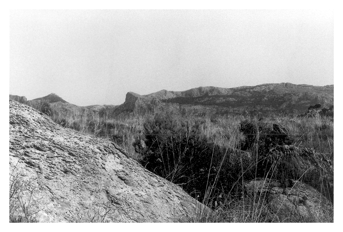 DO graphisme - photographie - majorque