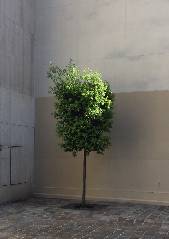 DO graphisme - affiche - numerando